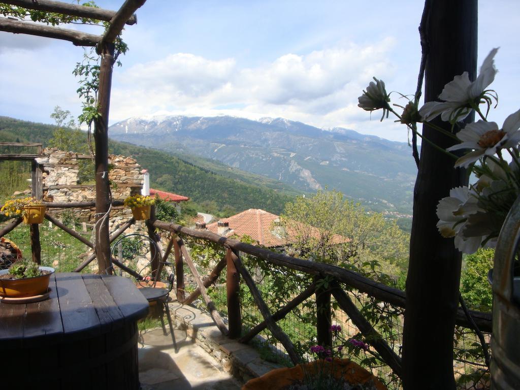 Guesthouse Oneiro Παλαιός Παντελεήμων Εξωτερικό φωτογραφία